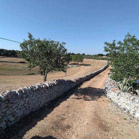 Masseria Catucci Agriturismo Алберобело Екстериор снимка