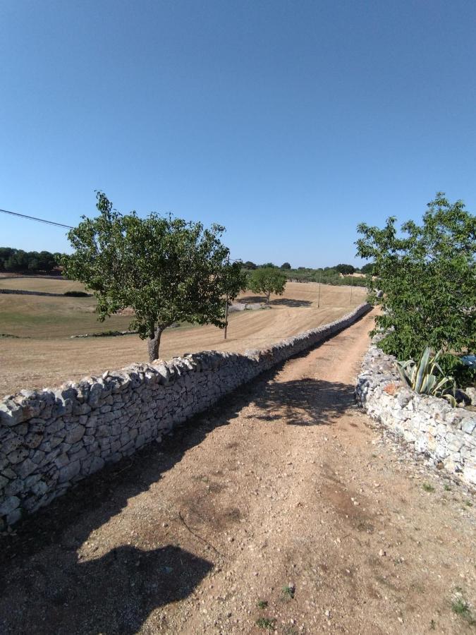 Masseria Catucci Agriturismo Алберобело Екстериор снимка