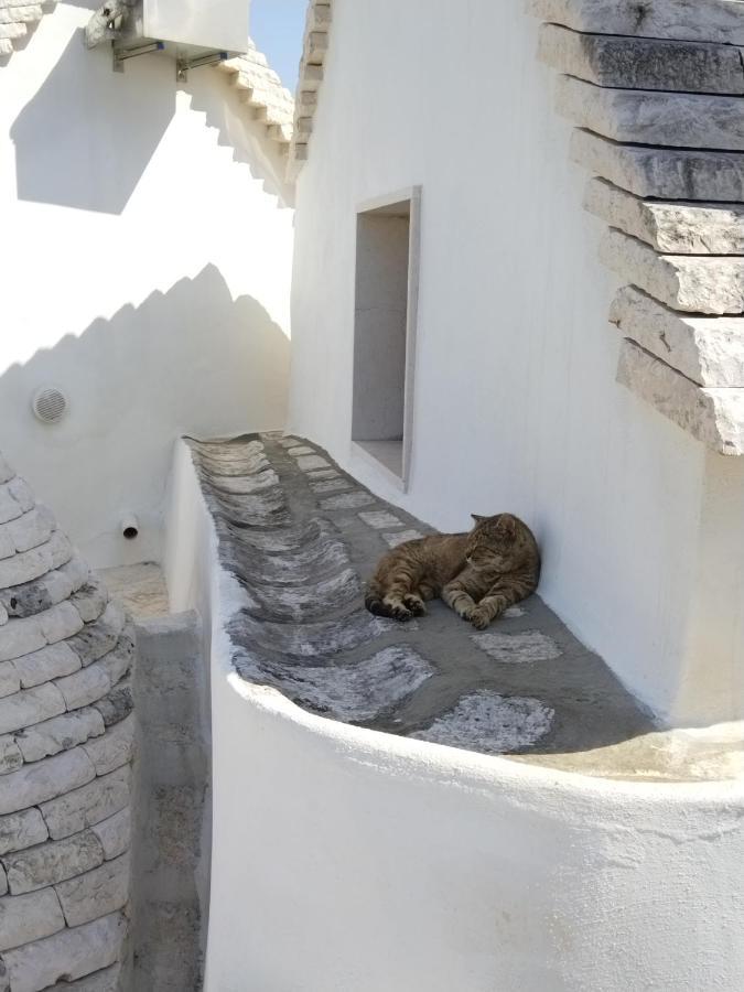 Masseria Catucci Agriturismo Алберобело Екстериор снимка