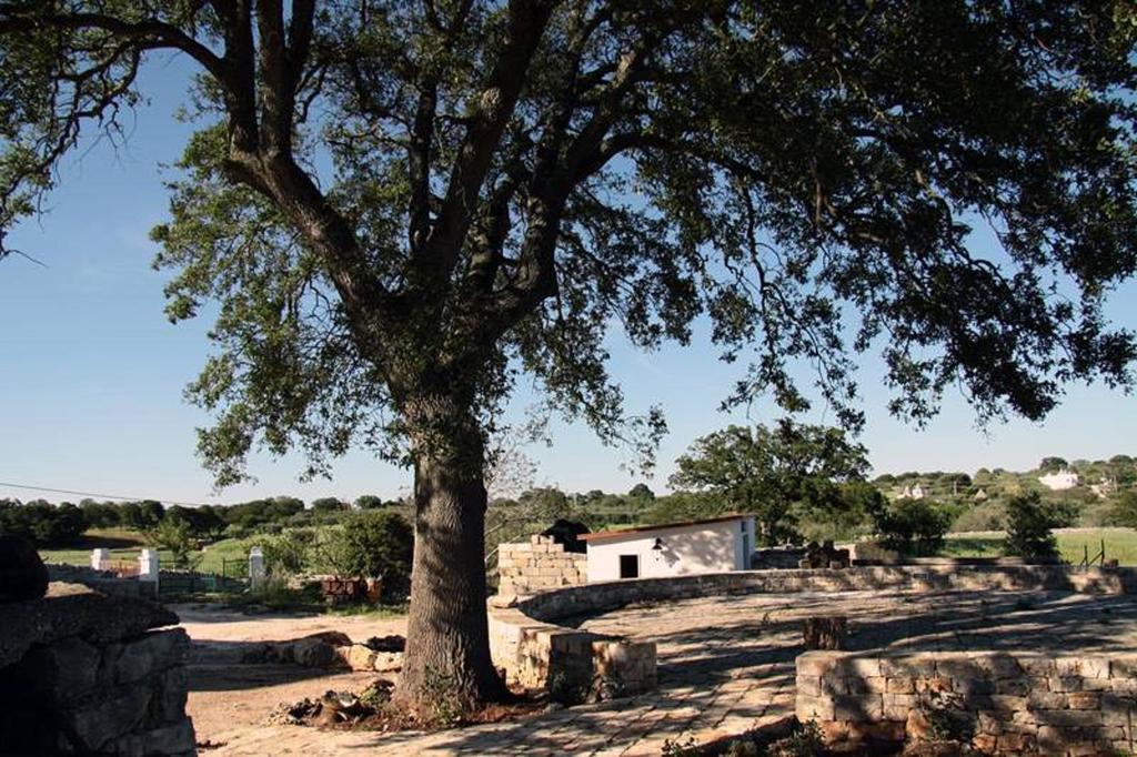 Masseria Catucci Agriturismo Алберобело Екстериор снимка